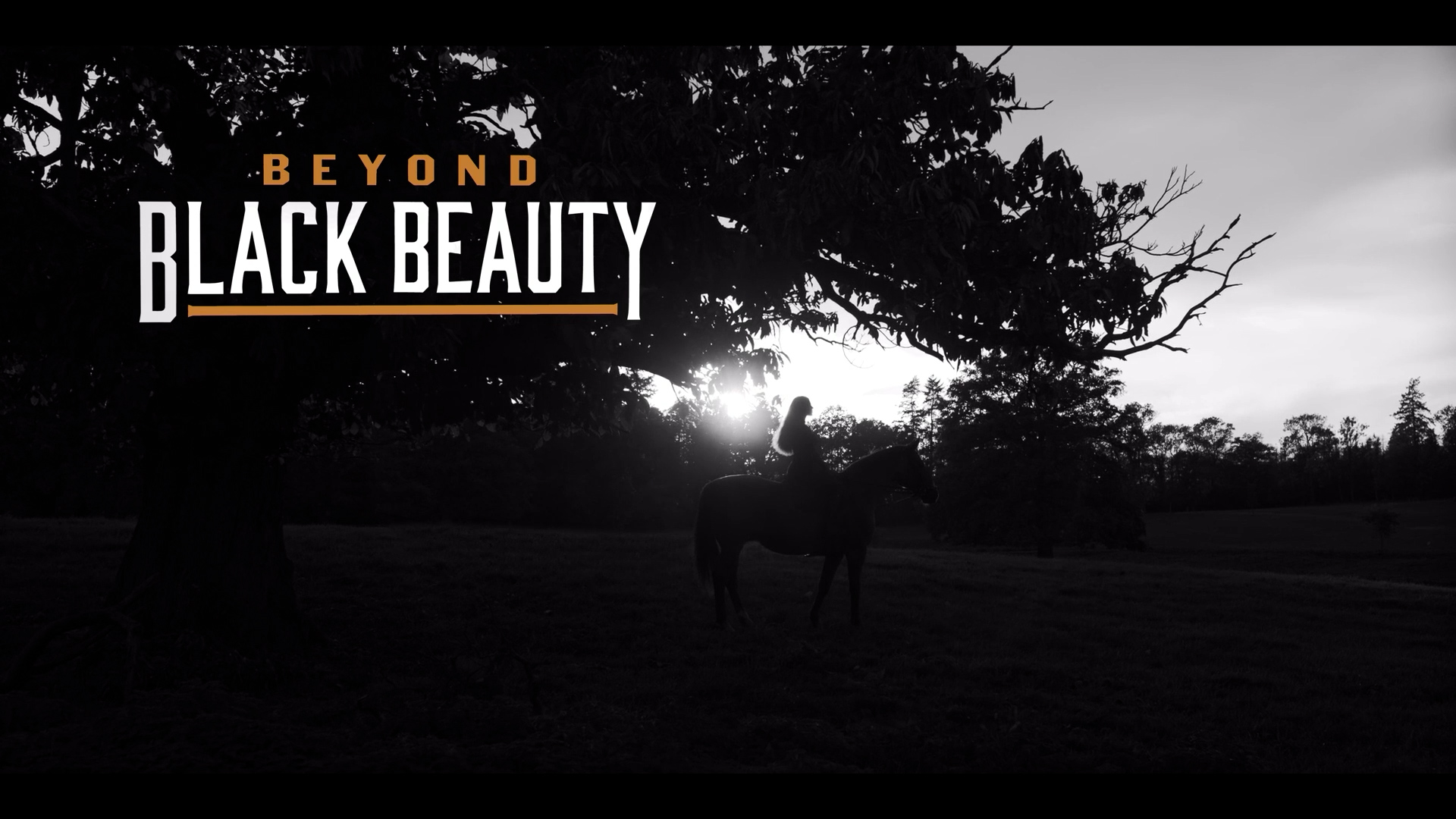 Beyond Black Beauty: Opening Titles
